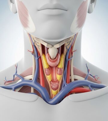 Understanding carotid artery disease: risk factors, warning signs, causes, and the importance of early detection and prevention.
