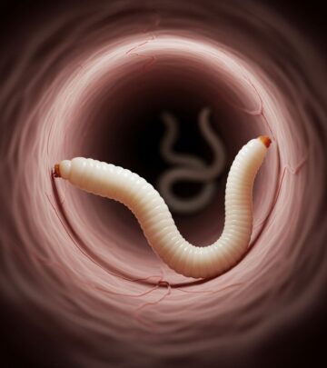 Protect your cat’s wellbeing by understanding, identifying, and preventing dangerous roundworm infections.